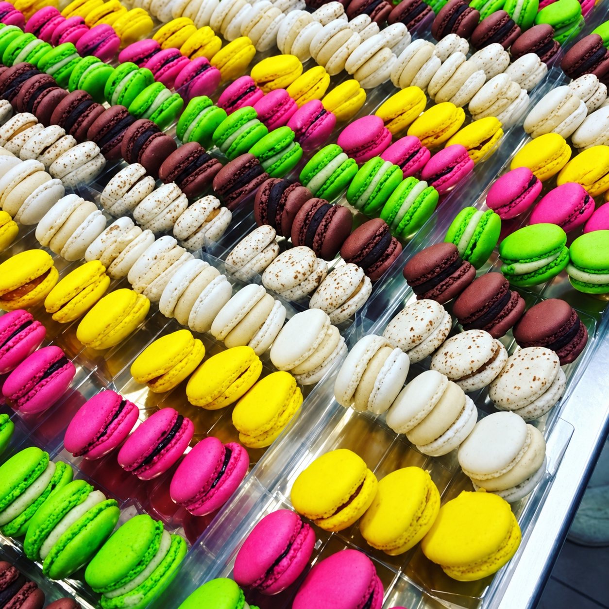 De nombreux macarons jaunes, roses, verts, blancs et chocolat sont alignés en rangées serrées dans des plateaux de présentation.